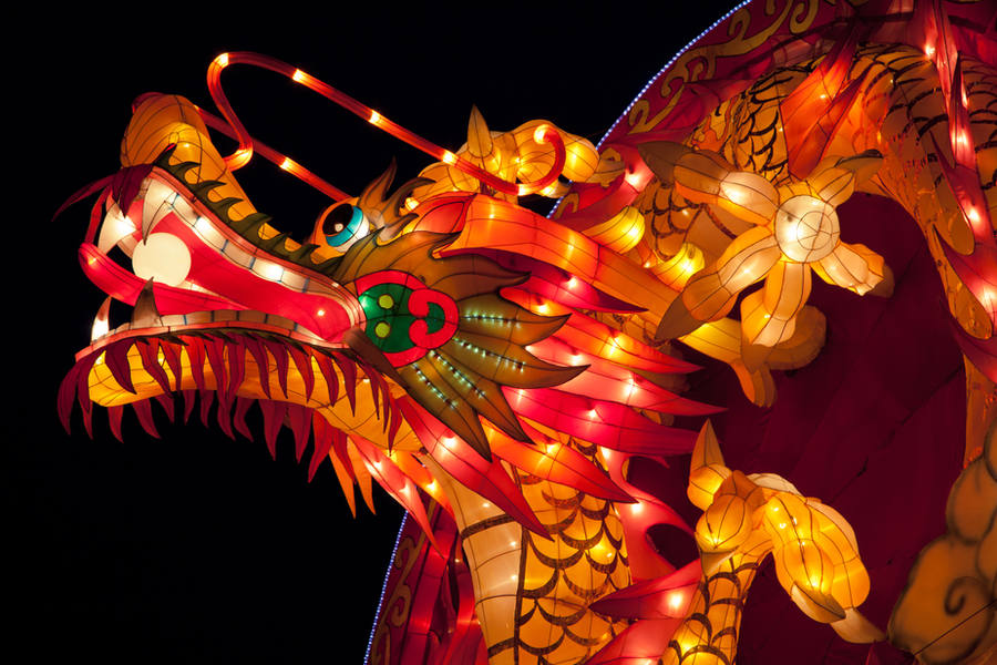 Lunar New Year Concert — photo 2